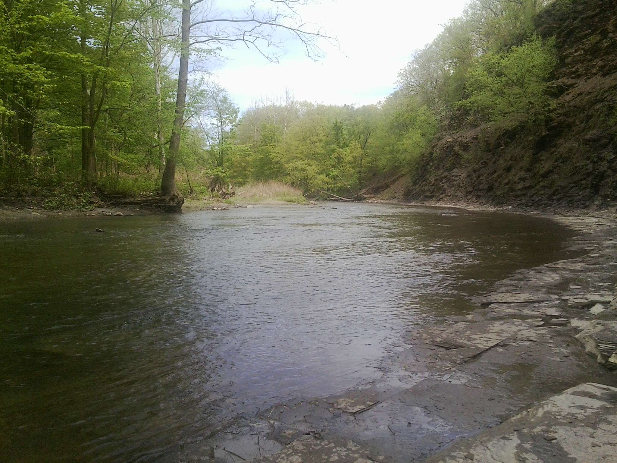Creek_shot_1